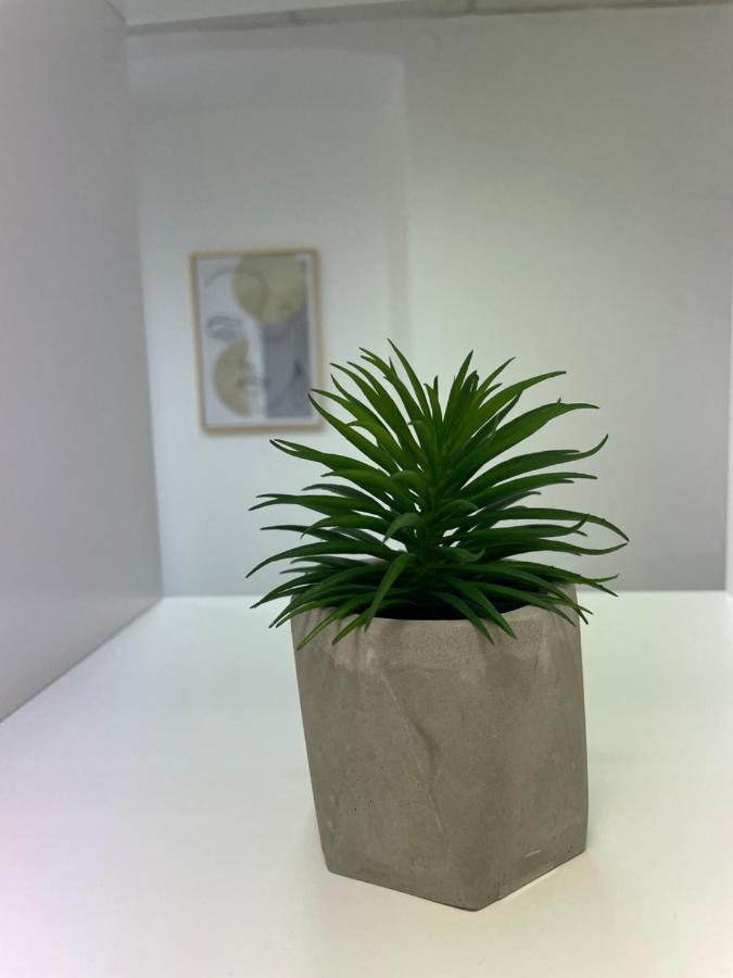 Apartment Studio Beauty In Centar 普拉 外观 照片